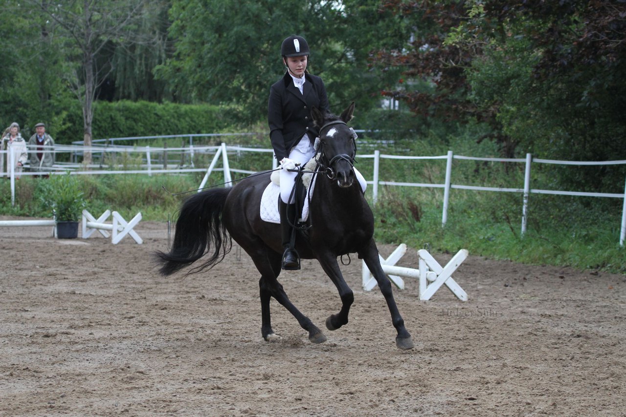 Bild 293 - WBO-Turnier am 18.9.11